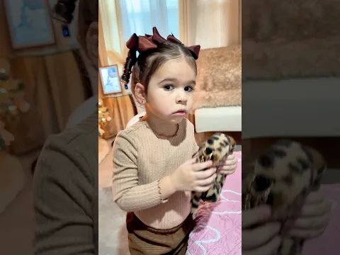 Mi niña de 2 años hace esto cada vez que la pongo bonita!