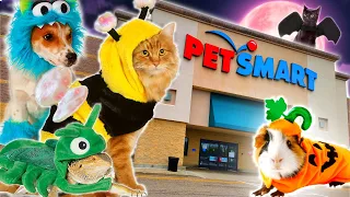 HALLOWEEN AT PETSMART
