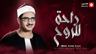 تلاوة هادئة تفيض جمالا  أرح بها بالك ومسمعك   لفضيلة الشيخ المنشاوي بجودة فائقة    دندنها