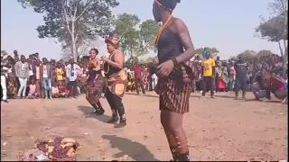 Namanhonga | Sambalala