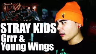 Download STRAY KIDS - Grrr \u0026 Young Wings Performance Video Reaction [GOT ME GROWLING] MP3