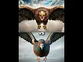 Download Lagu Eagle vs Vultures vs ( falcon, crow,  owl, seagull, Duck, toucan bird, Macow, pigeon).