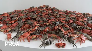 Ai Weiwei | Salas 1 y 2