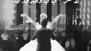 يا أميرتي يا جميلتي يا سيدة كل النساء 