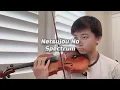 Seven Deadly Sins - Netsujou No Spectrum | Violin Cover