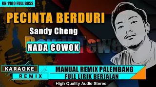 Download PECINTA BERDURI_Sandy Cheng || KARAOKE REMIX PALEMBANG MP3