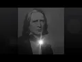 Franz Liszt - Reve d'amour.wmv