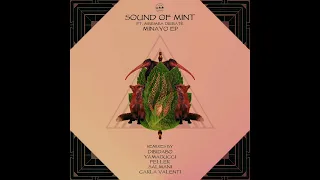 sound of mint ft mbemba diebat minayo feller remix 