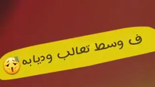 ناس كتير علي الاصل بانت 