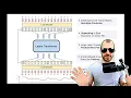 Byte Latent Transformer Patches Scale Better Than Tokens Paper Explained