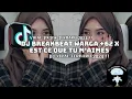 Download Lagu DJ BREAKBEAT WARGA +62 X EST CE QUE TU M'AIMES VIRAL TIKTOK 2024 SLOW FULL BASS