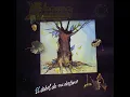 El Árbol de Mi Destino