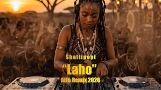 shallipopi laho trending on spotify afrobeat u0026 street vibes 2026