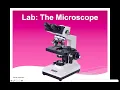 Microscope Lab Microscope Parts Functions
