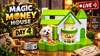 Coin Watch the Puppy Steal the Coins! 😍  House Mystery! Tiny  Puppy Steal the Coins! 😍 LIVE #ASMR