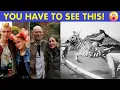 Amazing Photos That Might Brighten Your Day Happy And Fun