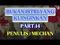 Download Lagu BUKAN ISTRI YANG KUINGINKAN, Part 14 [[Kbm App]]