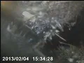 9900 Charlotte St Part 2
