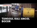 Tanggul Kali Ancol Bocor Tumpah ke Jalan | Liputan 6