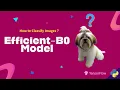 How to Classify images using Efficientnet B0