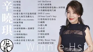 辛曉琪 Winnie Hsin 經典好歌30首 串燒 神曲 華語 經典 流行歌曲 回憶殺 