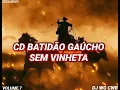 CD BATIDÃO GAÚCHO SEM VINHETA VOLUME.7 DJ WG CWB