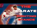 Download Lagu The Karate Fighting Stance : Improve your Kumite