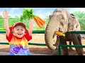 Download Lagu Keluarga Diana dan Roma di Kebun Binatang Emirates Park, Abu Dhabi