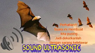 Download Suara ultrasonic ampuh pengusir kelelawar MP3