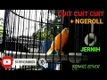 Download Lagu suara TERAPI KENARI paud dan dewasa malas bunyi-bikin cepat respon untuk berbunyi