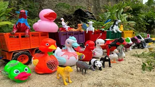 truk oleng angkut hewan lucu duck warna warni gajah gorilla domba sapi ayam jerapah harimau