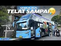 Download Lagu DILEMA NAIK BUS NYEBRANG PULAU ‼️Trip Jogja - Denpasar with Wisata Komodo PART 2