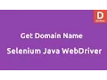 Get Domain Name using Selenium Java WebDriver
