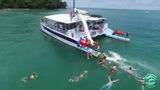 Planet Dolphin Catamaran - Manuel Antonio CR