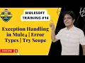 Exception Handling in Mule4 Error Types Try Scope On Error Propagate On Error Continue