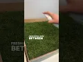 Fresh Patch - REAL grass for dogs