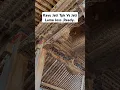 Download Lagu RUMAH JOGLO TIANG 30x30cm #joglo #ukiran #mebel #furniture #desain #art #lukisan #seniman #sejarah