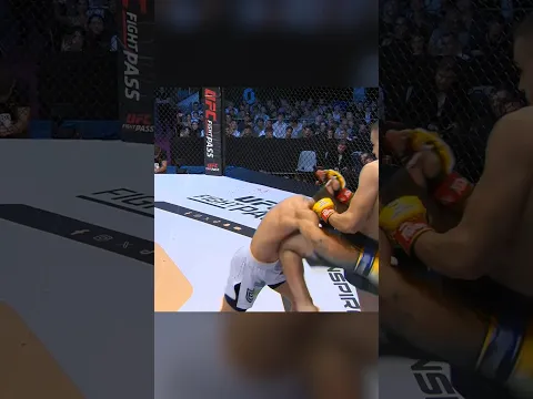 LIVER SHOT KO FROM GIUSEPPE MASTROGIACOMO #CW211