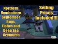 Animal Crossing New Horizons Northern Hemisphere September Bugs Fishes and Deep Sea Creatures