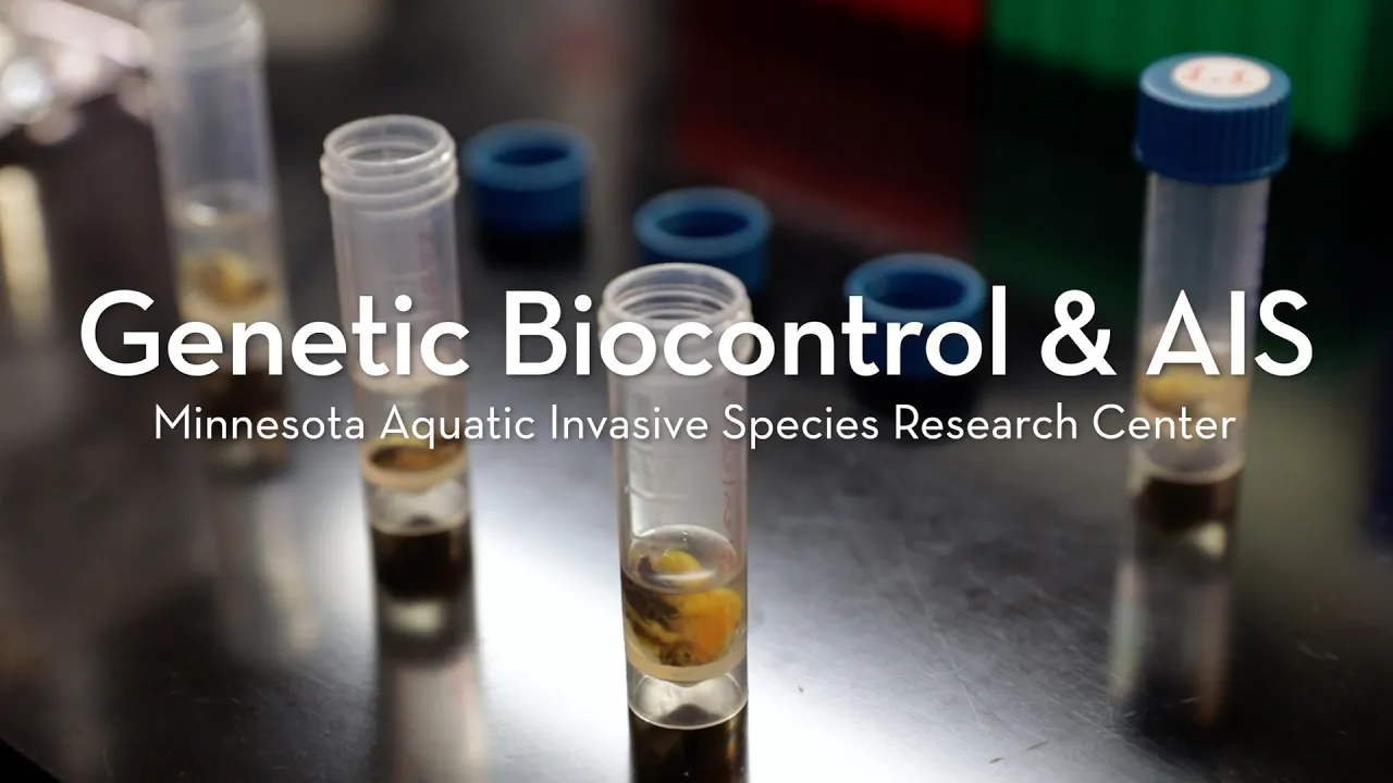 Genetic Biocontrol Solutions for Aquatic Invasive Species
