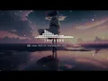 Saiyaara (Lofi) - OMER J MUSIC | Hindi Mix | Mohit Chauhan | Ek Tha Tiger | Bollywood Lo-fi