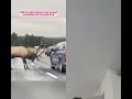 Kijk eens naar dit grappige dier 😁 😂 😀 😄