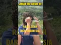 Download Lagu PEMUDA INI BISA MEMANGGIL LEBAH DARI JARAK 100 M.