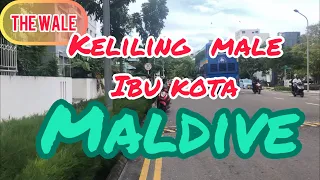 Download The Wale In Maldive // Belanja Bareng  orang maladewa Asli// Living In Maldive #viral #maldives MP3