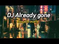 Download Lagu DJ Already gone slowedxreverb