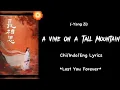 A vine on a tall mountain...(Yang zi)...Lost you forever ost...chi/indo/eng lyrics