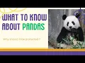 Pandas All you need to know
