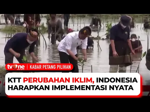 Indonesia Bertekad Kurangi Emisi Karbon