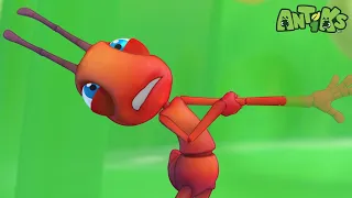 🔴 LIVE TV 🔴 Antiks Funny Cartoons For Kids! 🐜