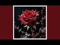 Thorned Rose